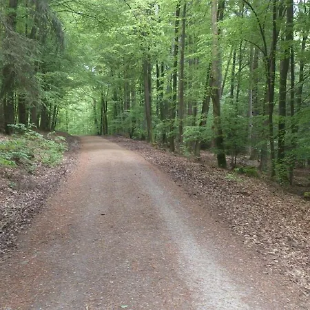 Talgrund Im Grünen * Frammersbach